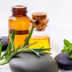 organic hair products