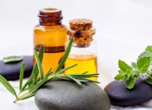 organic hair products